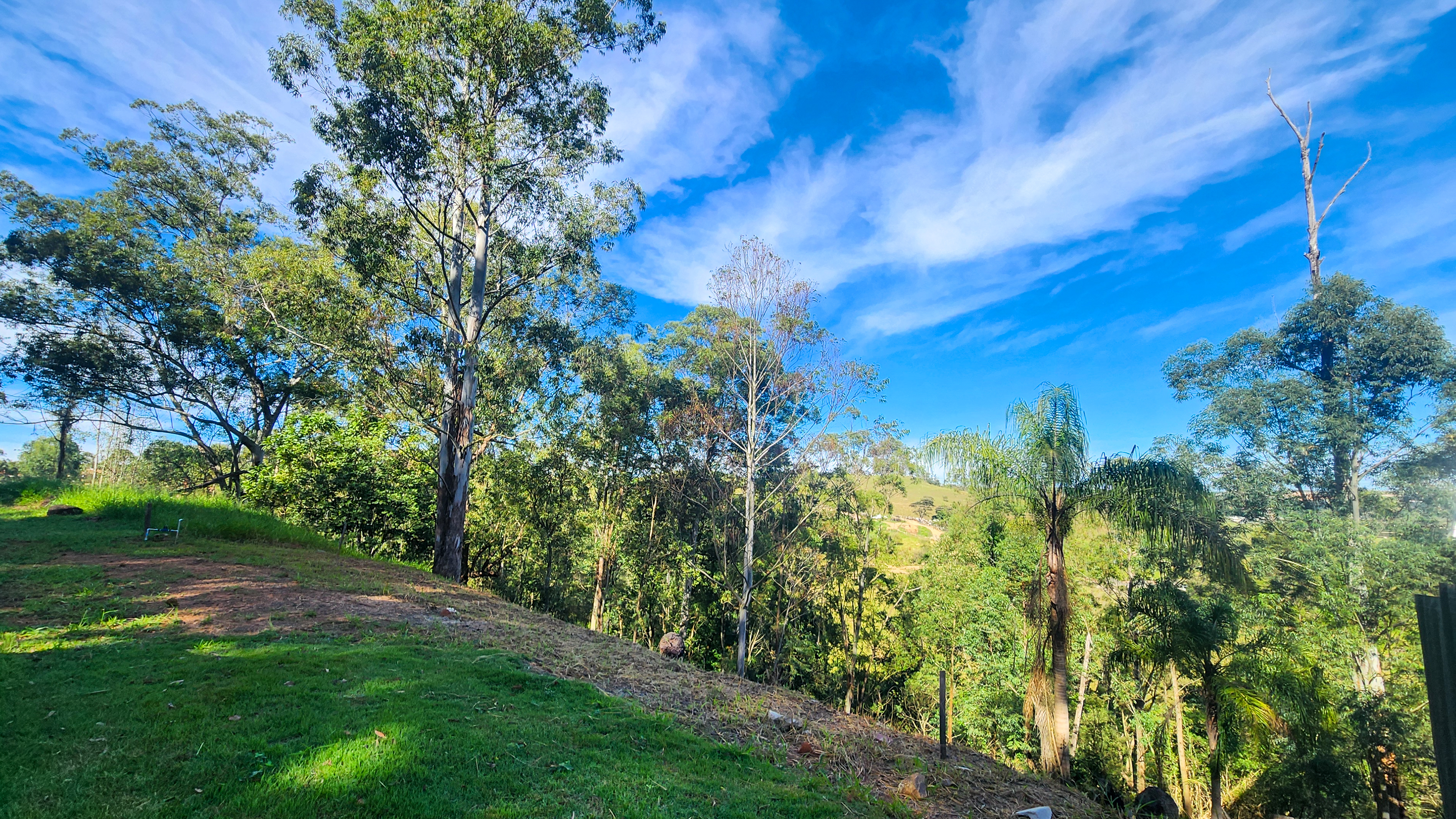 Vista real do declive e da vegetação no interior do terreno